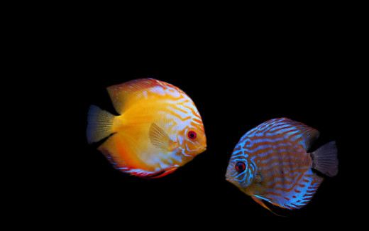 507318 (a): :1920x1200